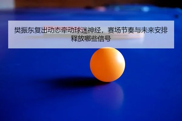 樊振东复出动态牵动球迷神经，赛场节奏与未来安排释放哪些信号